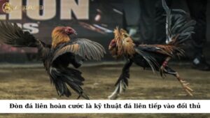 Đòn đá liên hoàn cước chỉ kỹ thuật thực hiện một chuỗi các cú đá liên tiếp vào đối thủ