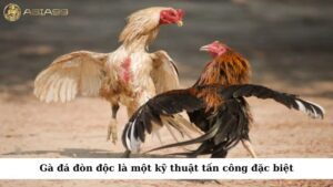 Gà đá đòn độc là một kỹ thuật tấn công đặc biệt
