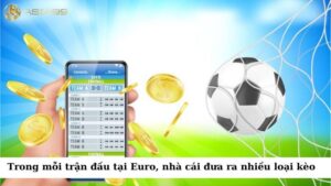 Trong mỗi trận đấu tại Euro, các nhà cái sẽ đưa ra nhiều loại kèo khác nhau 