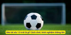 Kèo tài xỉu 1.5 trái là gì? Cách chơi, kinh nghiệm thắng lớn